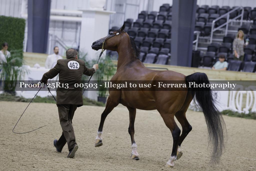Proof 25R13_00503