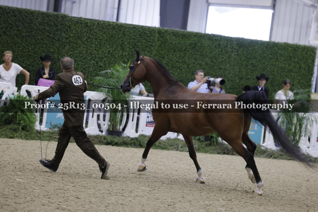 Proof 25R13_00504