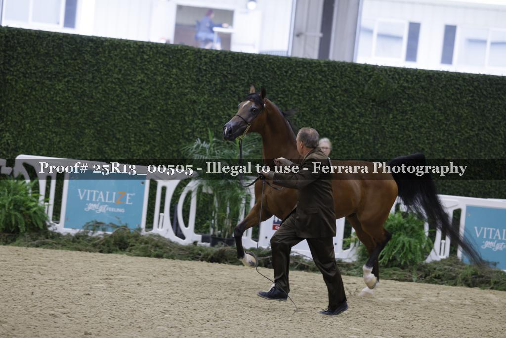 Proof 25R13_00505