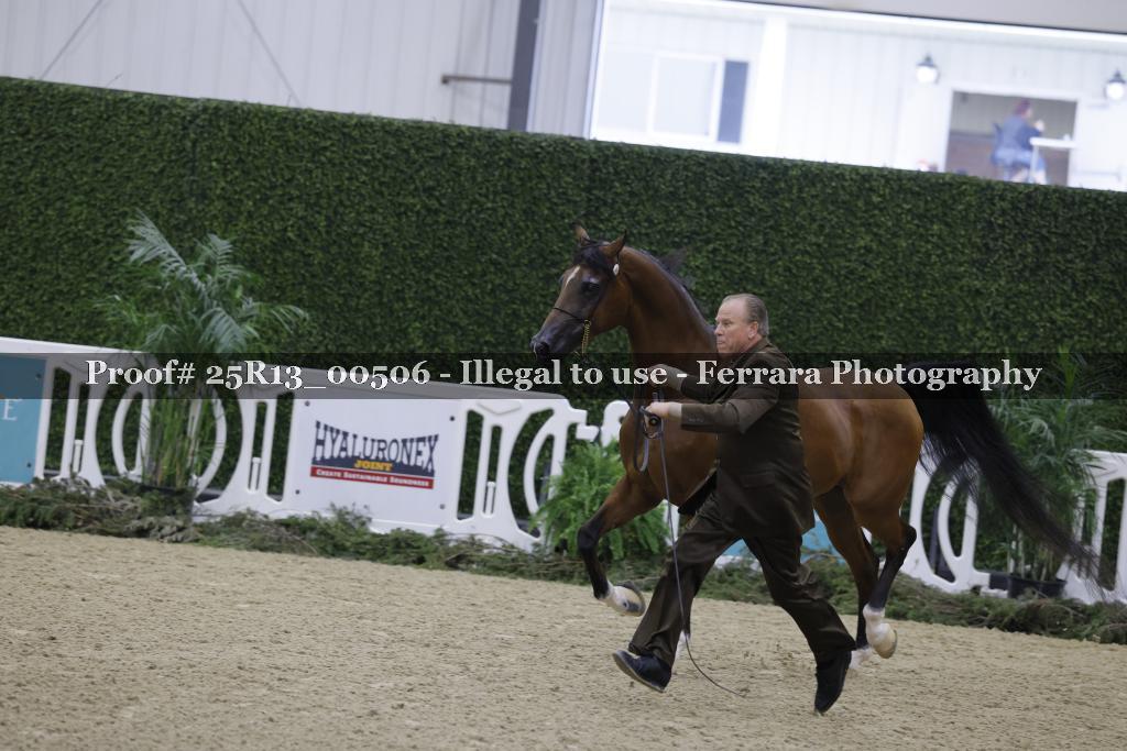 Proof 25R13_00506