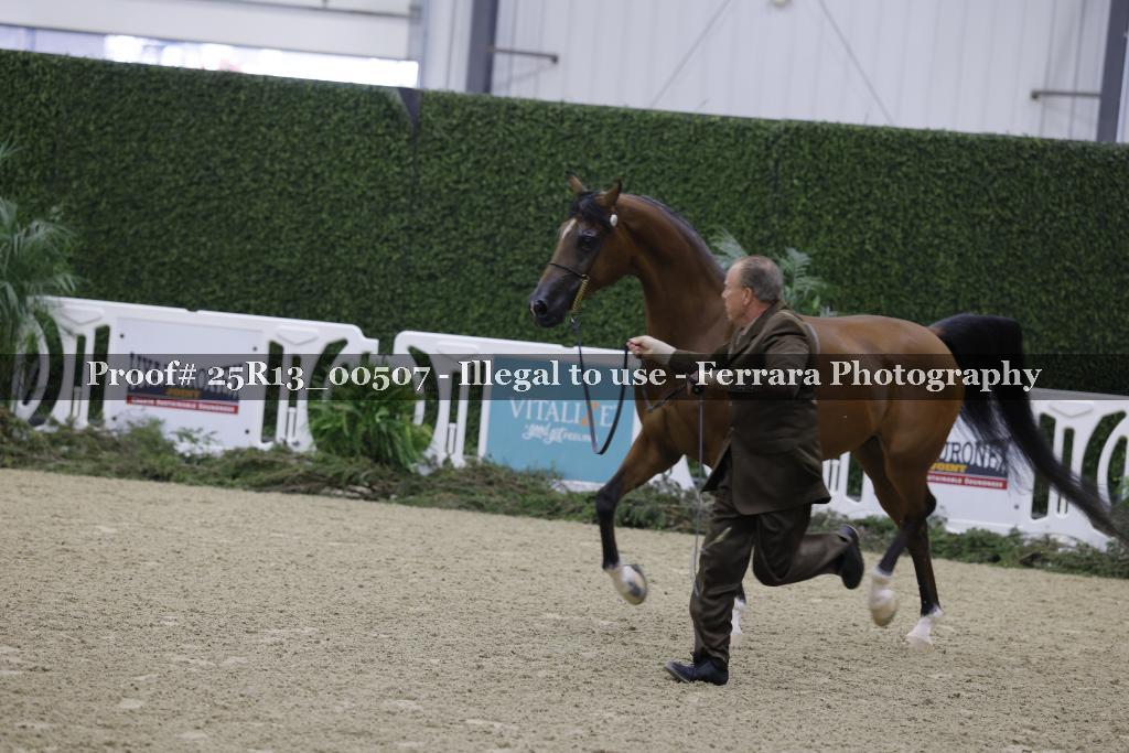 Proof 25R13_00507