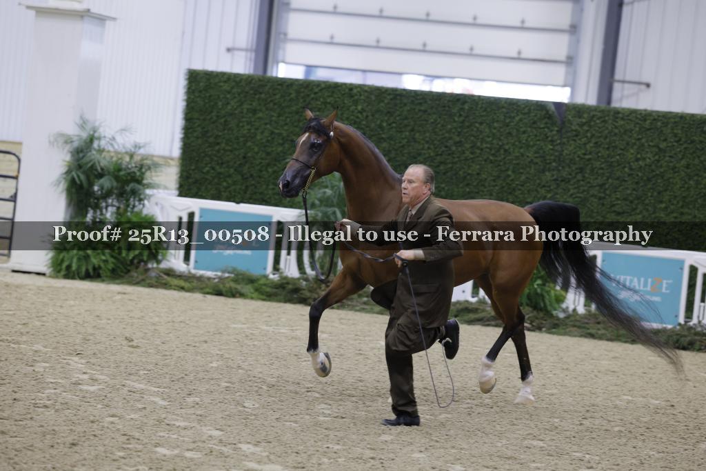 Proof 25R13_00508