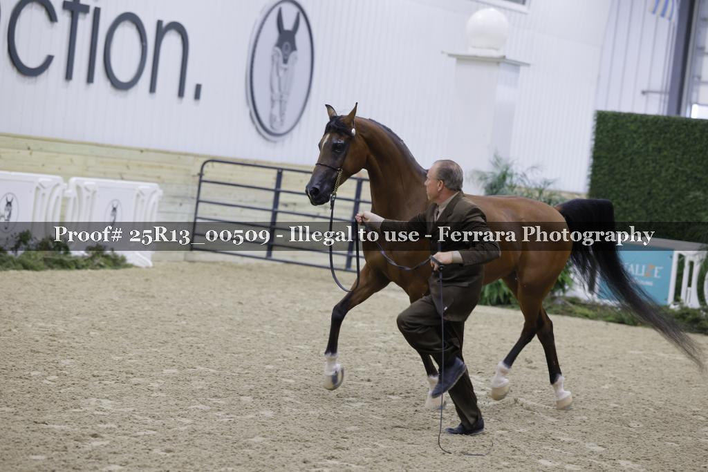 Proof 25R13_00509