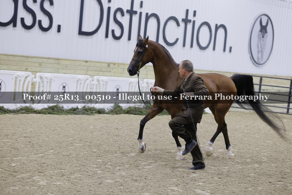 Proof 25R13_00510