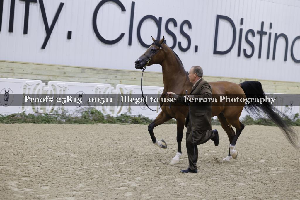 Proof 25R13_00511