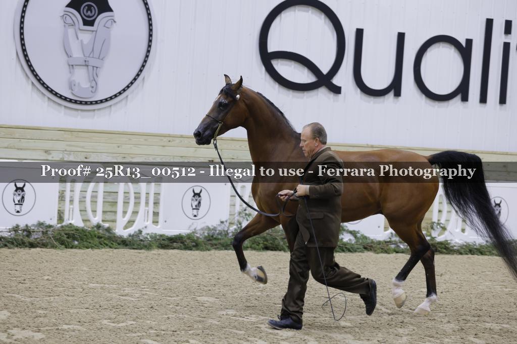 Proof 25R13_00512