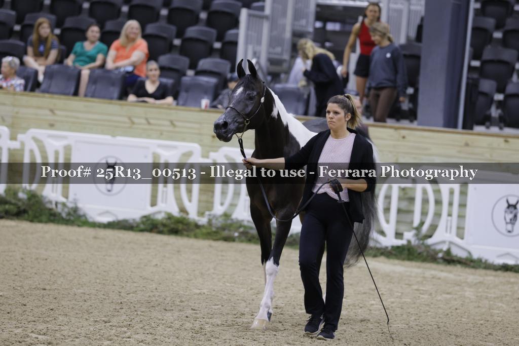 Proof 25R13_00513