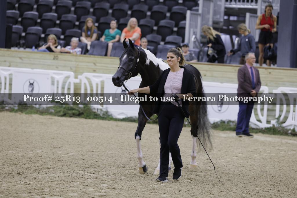 Proof 25R13_00514