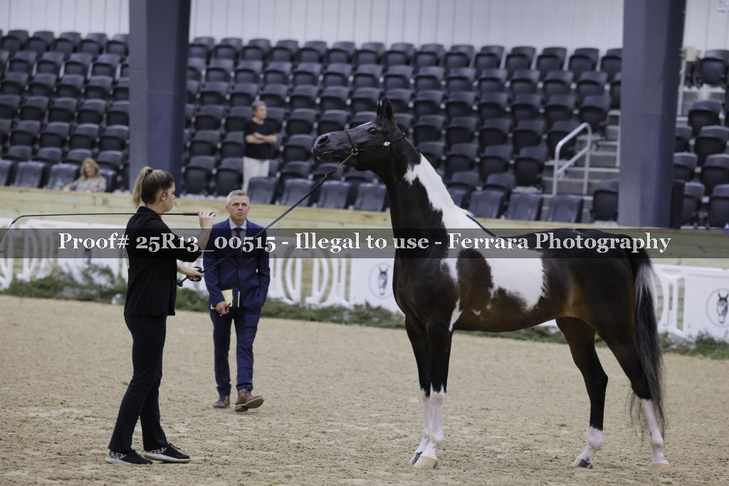 Proof 25R13_00515