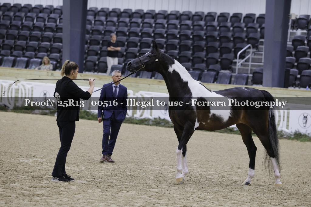 Proof 25R13_00516