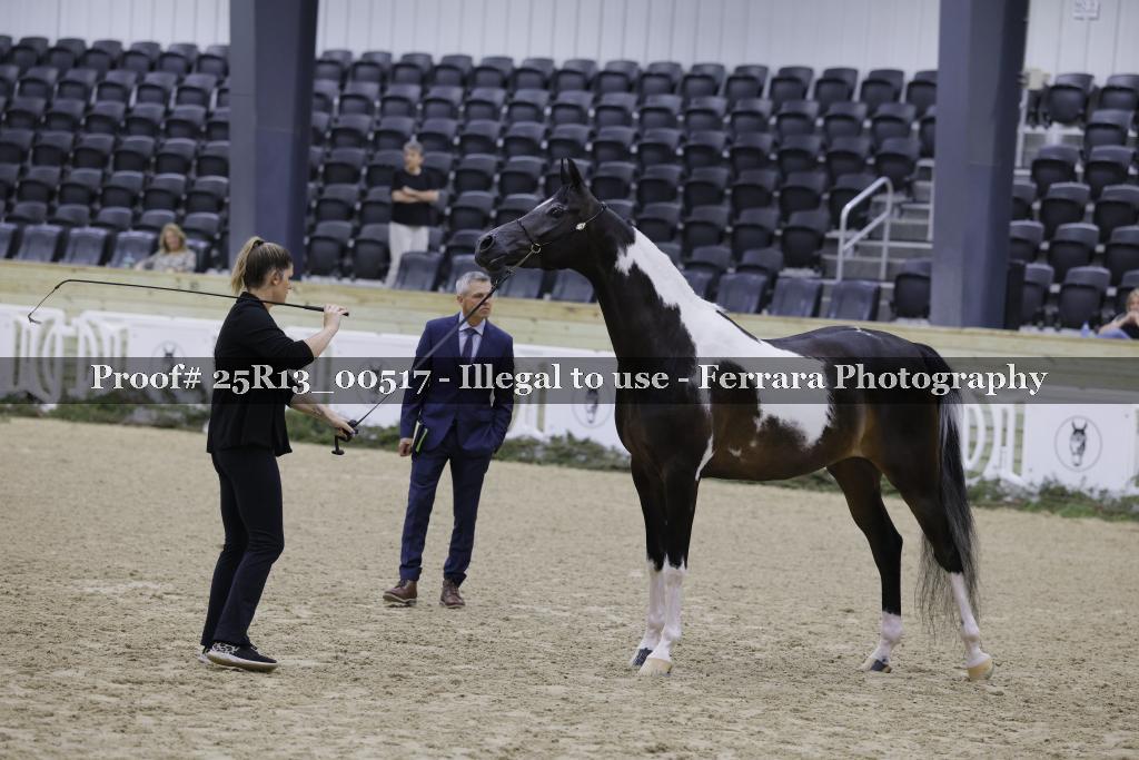 Proof 25R13_00517
