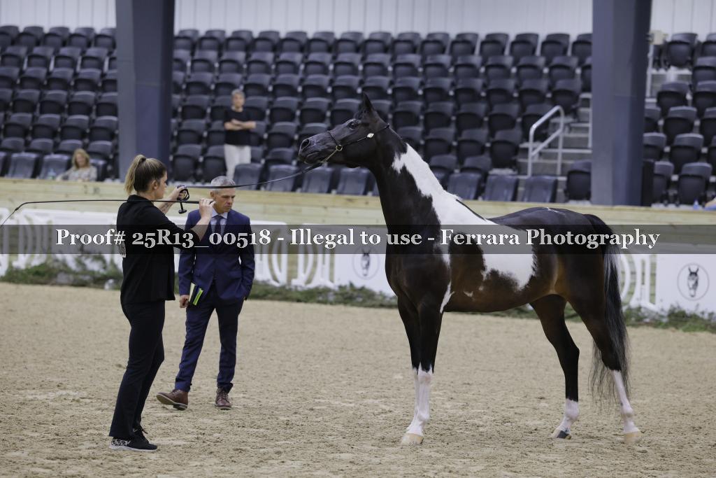 Proof 25R13_00518