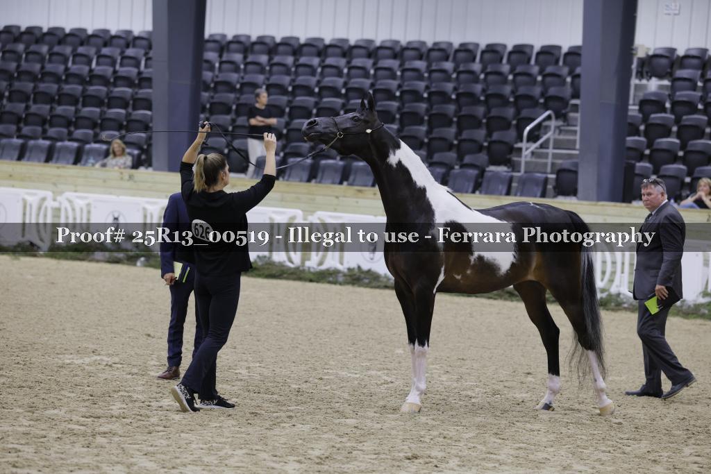 Proof 25R13_00519
