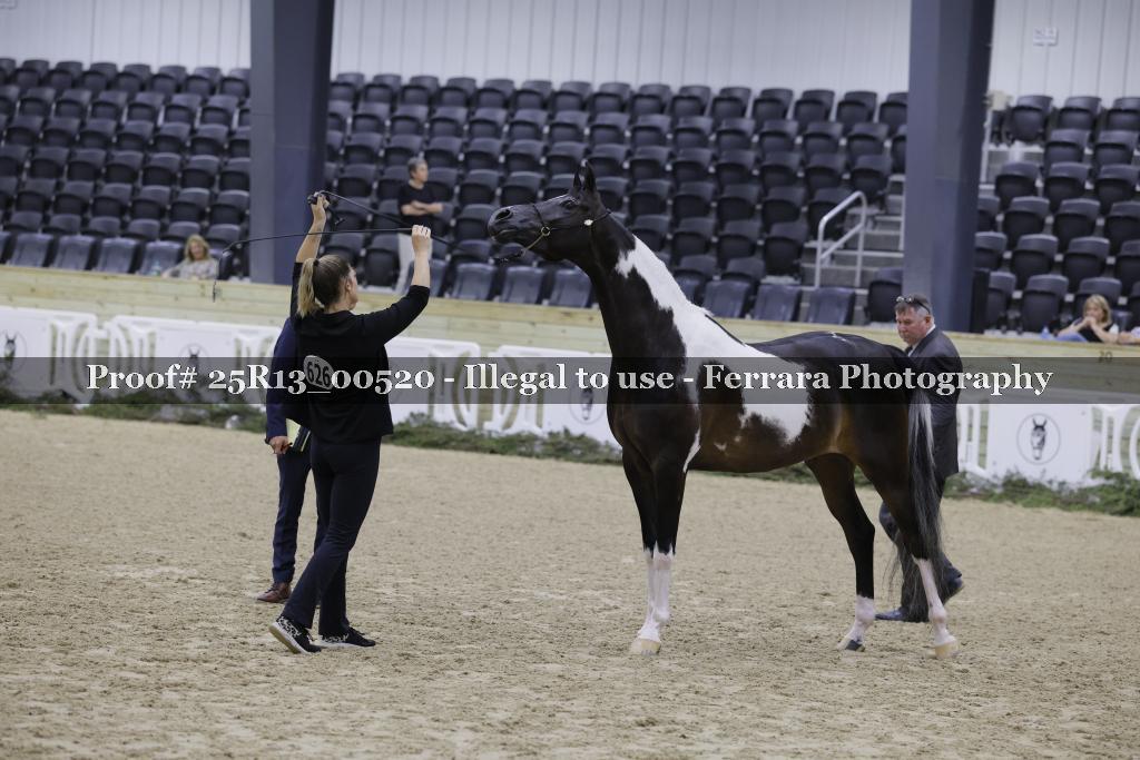 Proof 25R13_00520