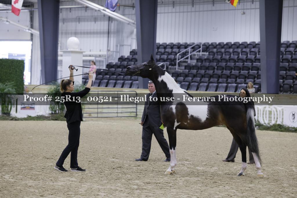 Proof 25R13_00521
