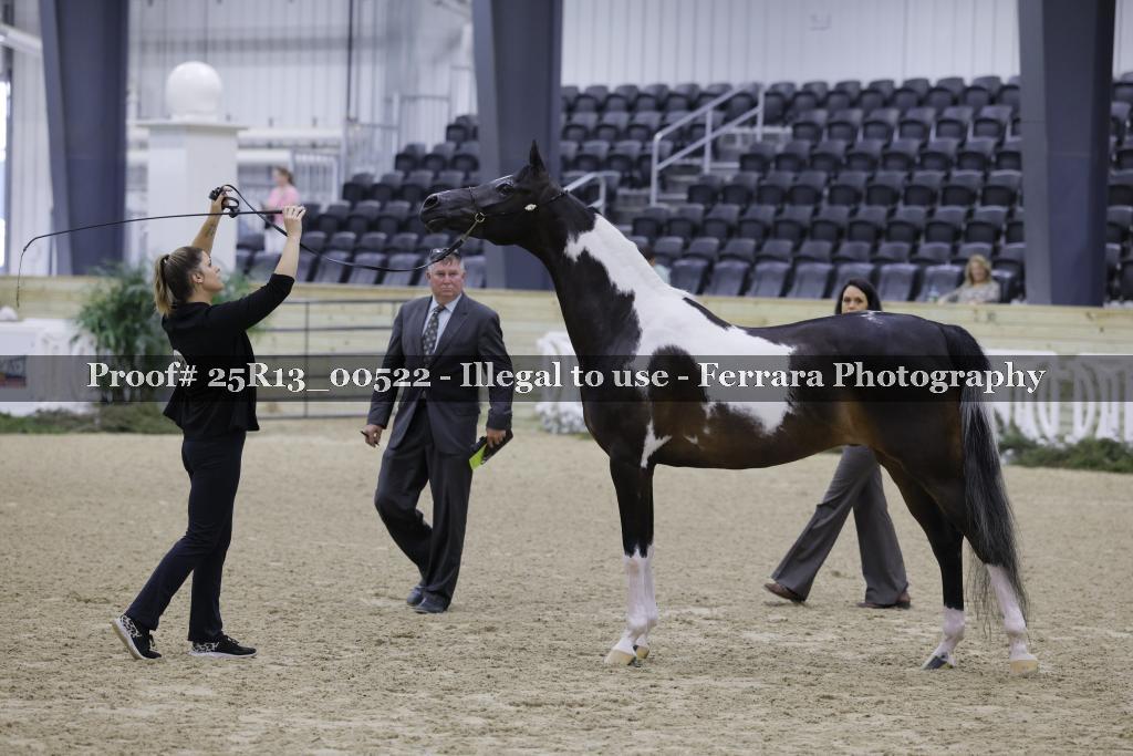 Proof 25R13_00522