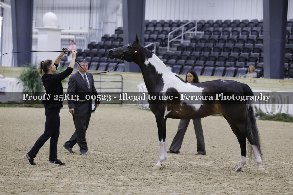 Proof 25R13_00523