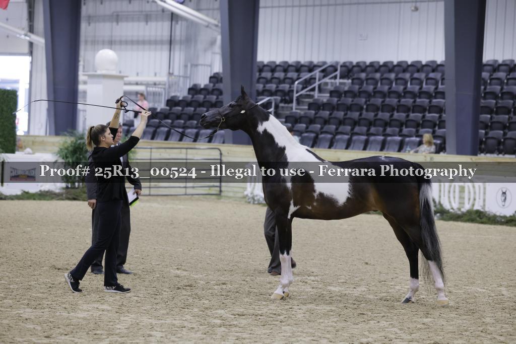 Proof 25R13_00524