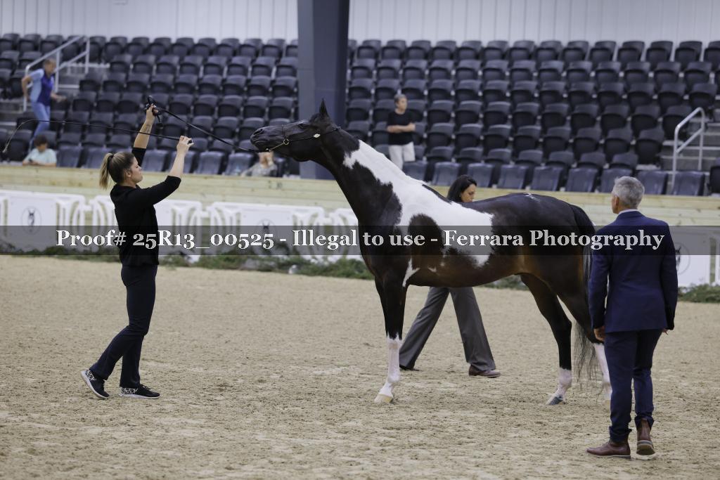 Proof 25R13_00525