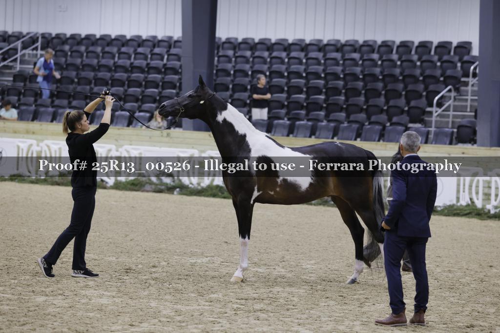 Proof 25R13_00526