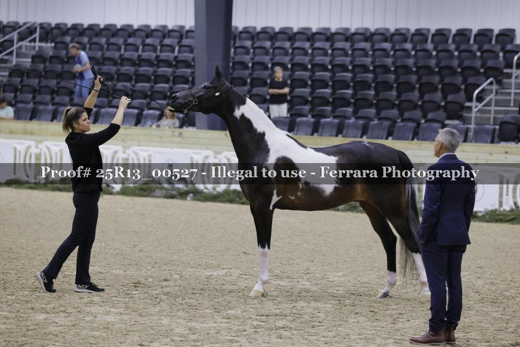 Proof 25R13_00527