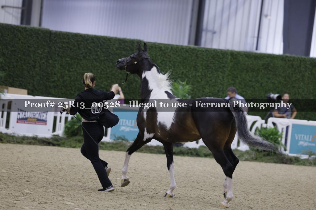 Proof 25R13_00528