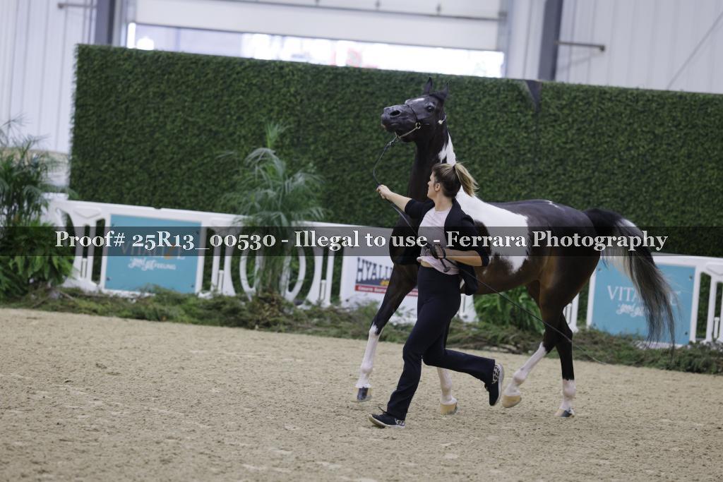 Proof 25R13_00530