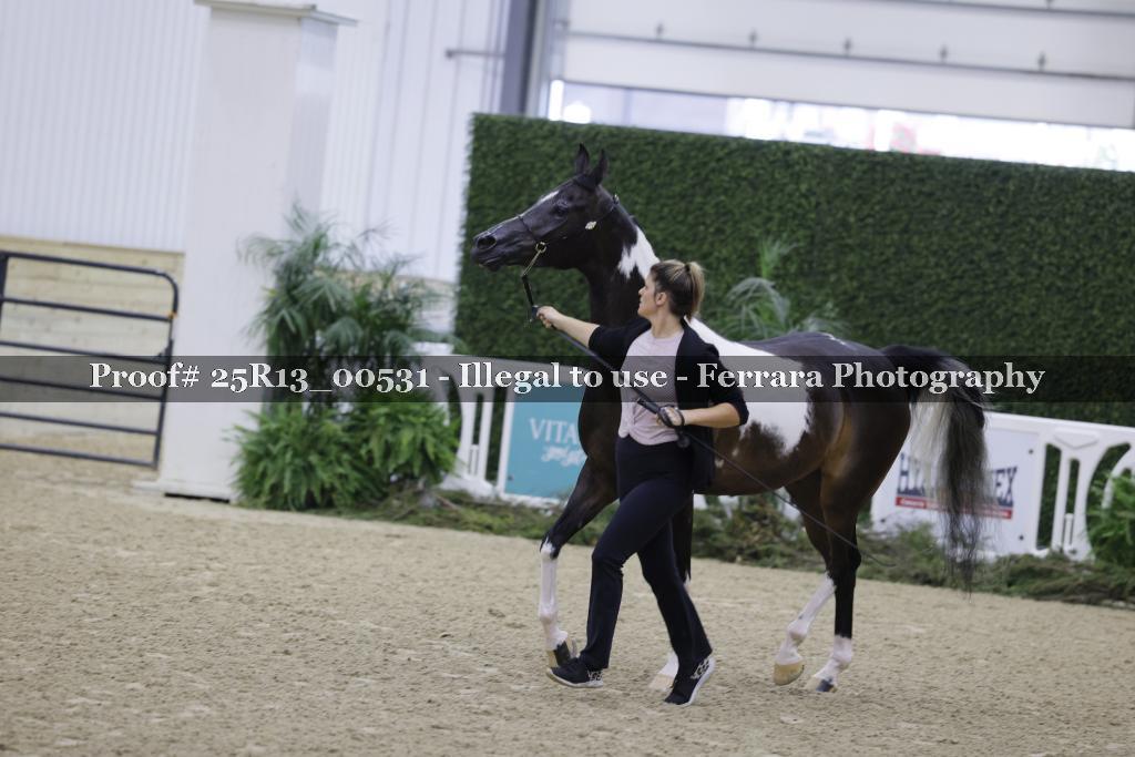 Proof 25R13_00531