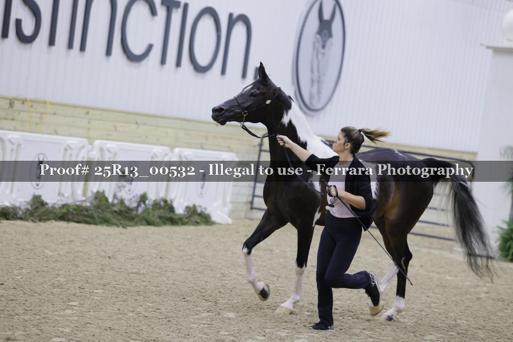 Proof 25R13_00532