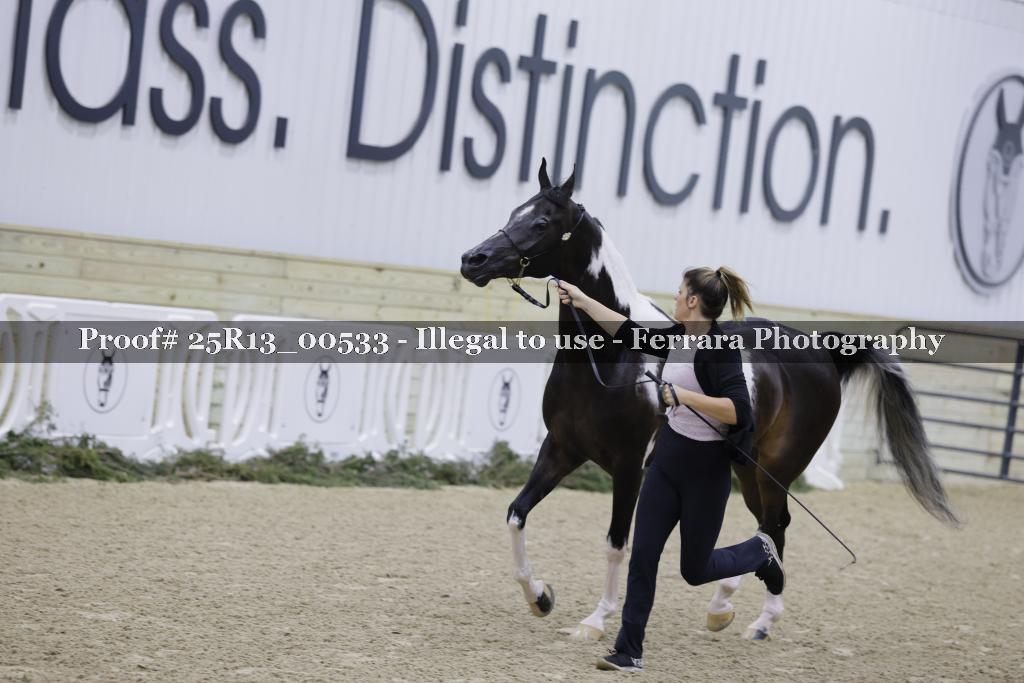 Proof 25R13_00533