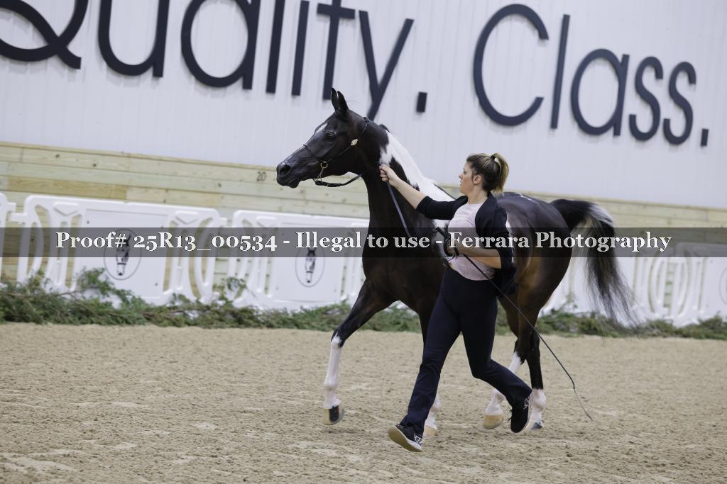 Proof 25R13_00534