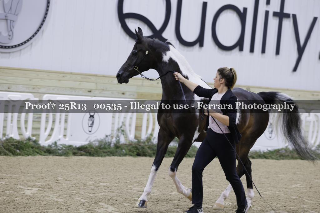 Proof 25R13_00535