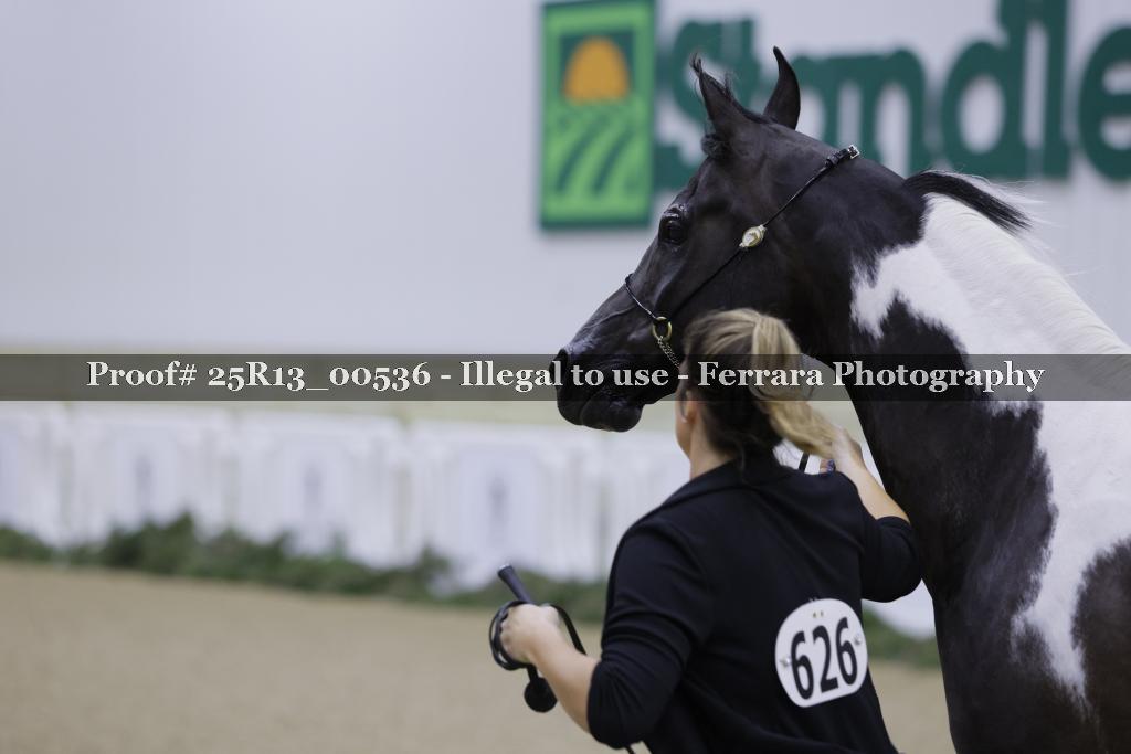 Proof 25R13_00536
