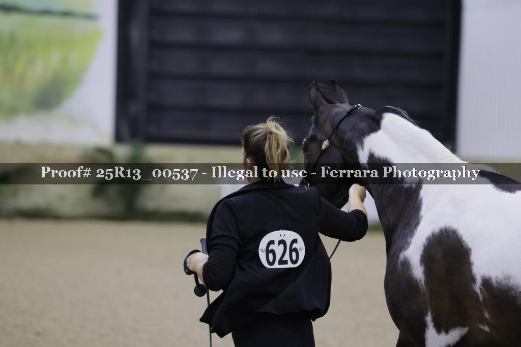 Proof 25R13_00537