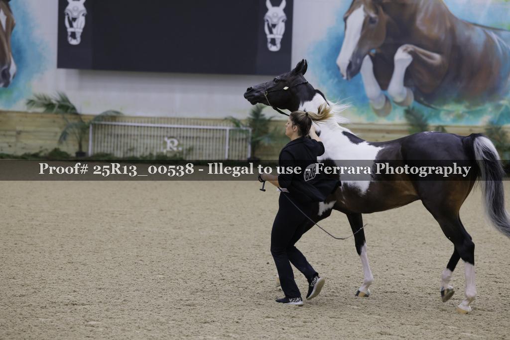 Proof 25R13_00538