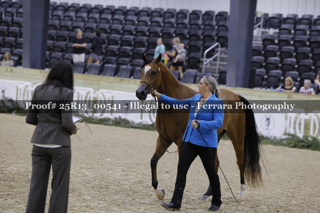 Proof 25R13_00541