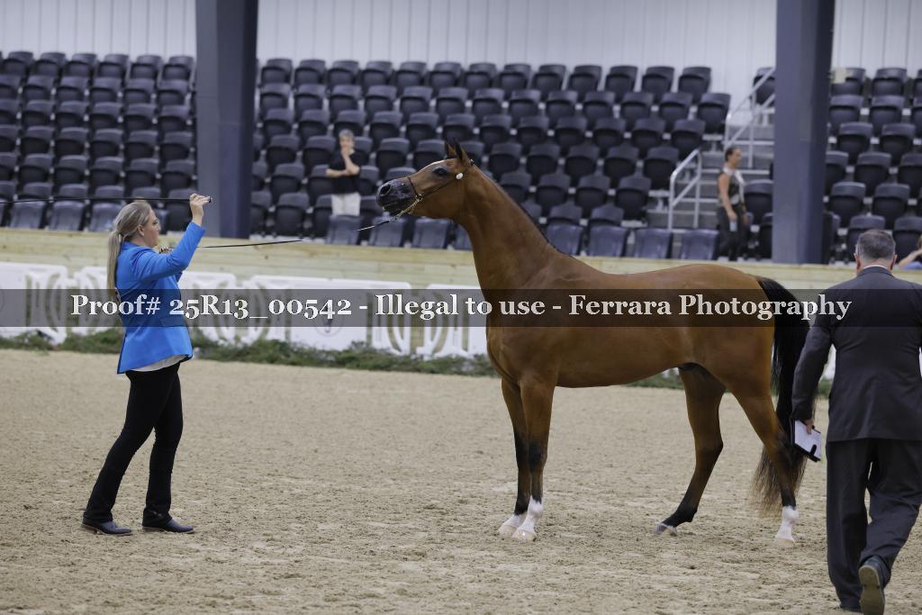 Proof 25R13_00542