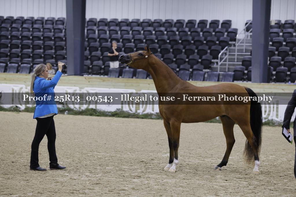 Proof 25R13_00543