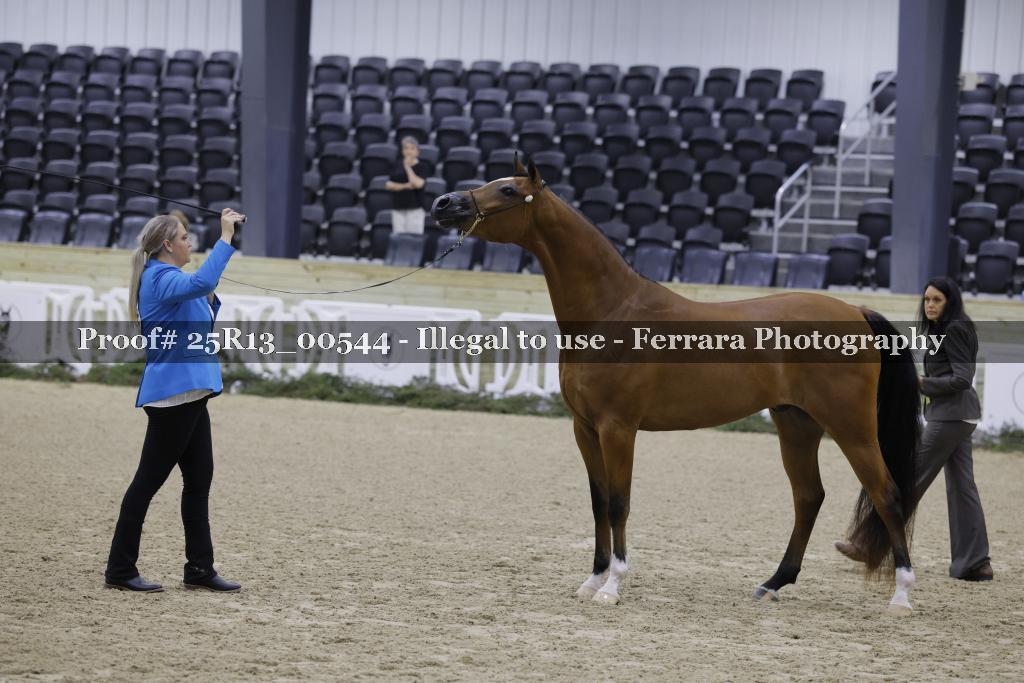 Proof 25R13_00544