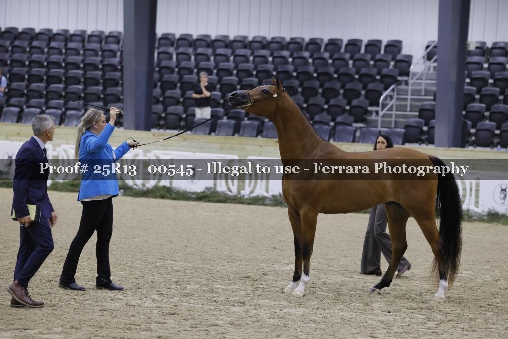 Proof 25R13_00545