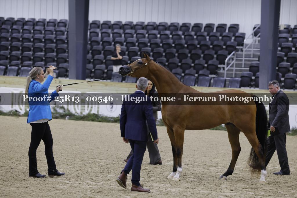 Proof 25R13_00546