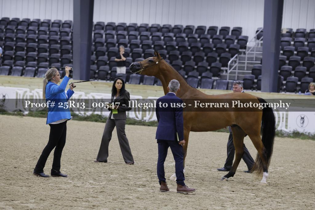 Proof 25R13_00547