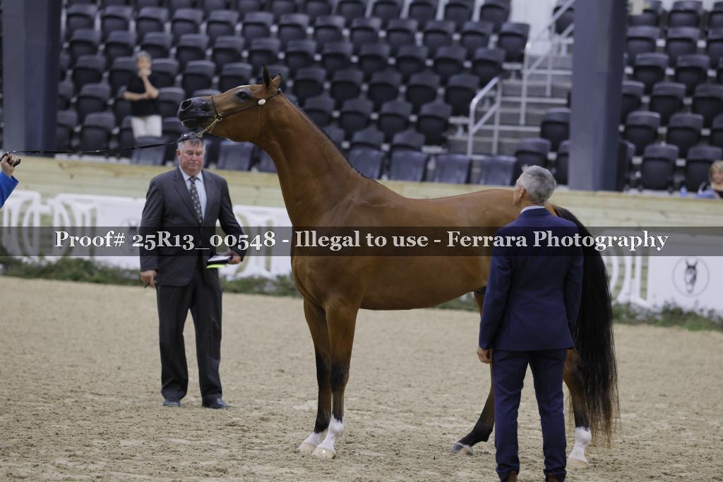 Proof 25R13_00548