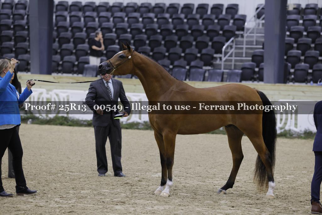 Proof 25R13_00549