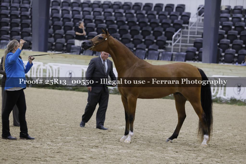 Proof 25R13_00550