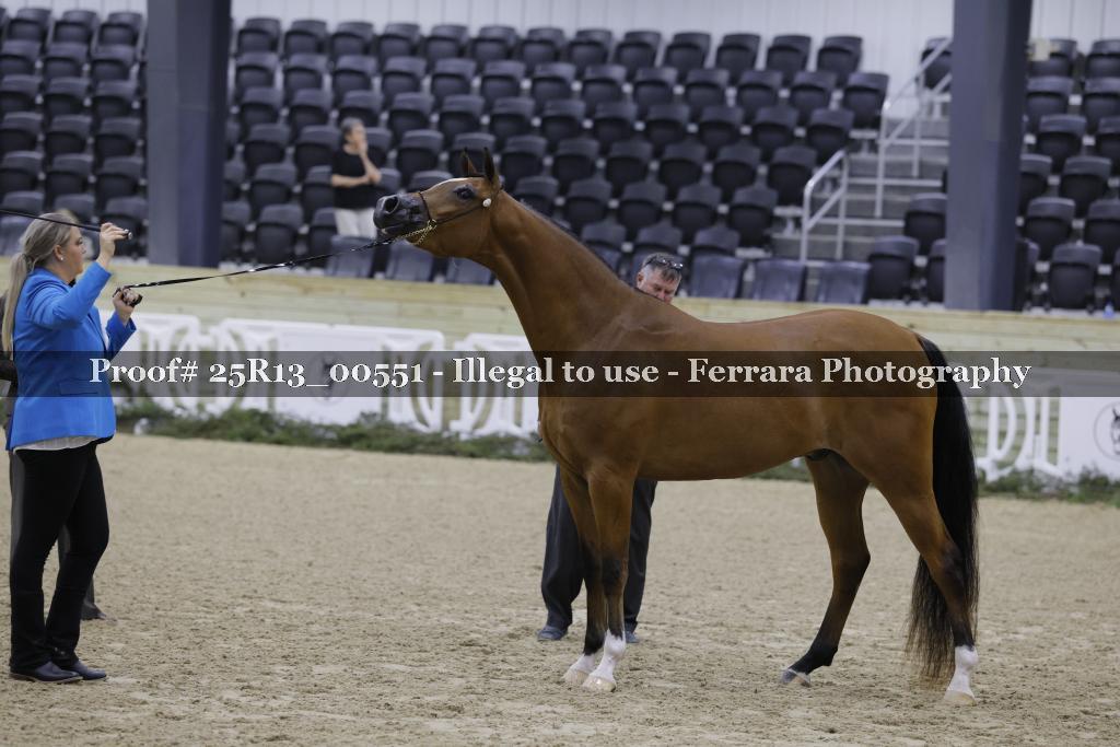 Proof 25R13_00551