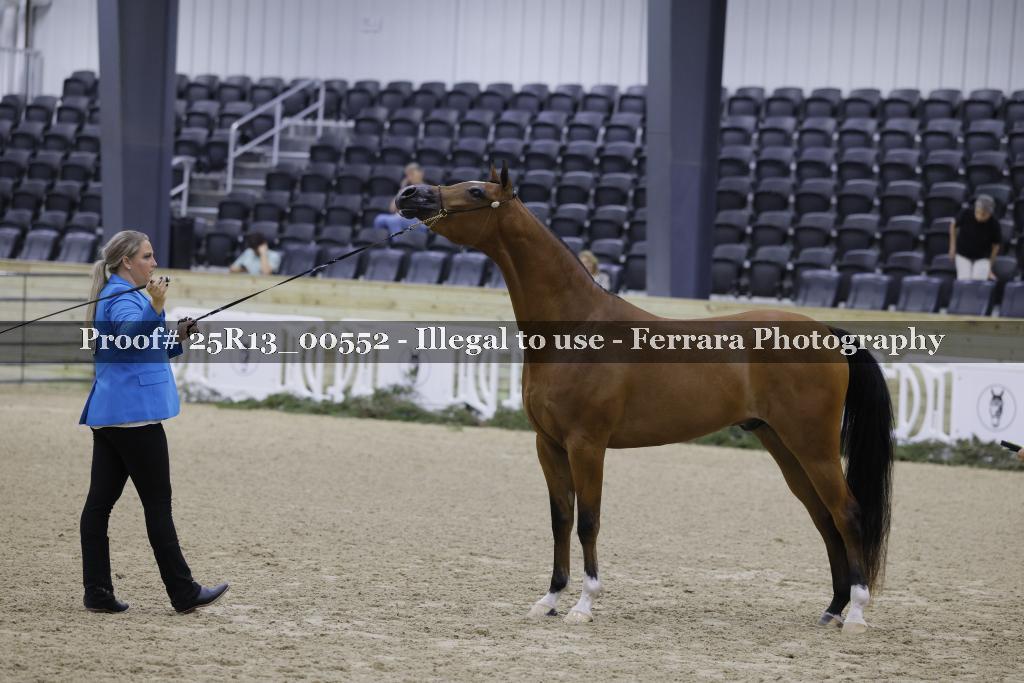 Proof 25R13_00552
