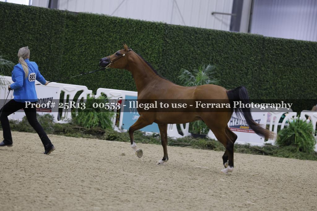 Proof 25R13_00553