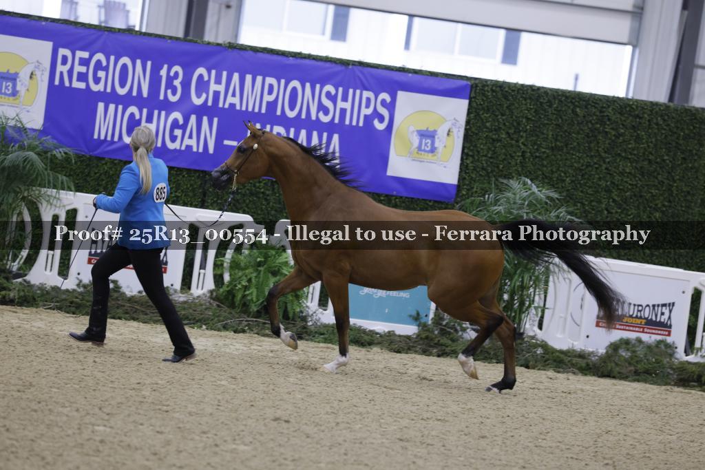 Proof 25R13_00554