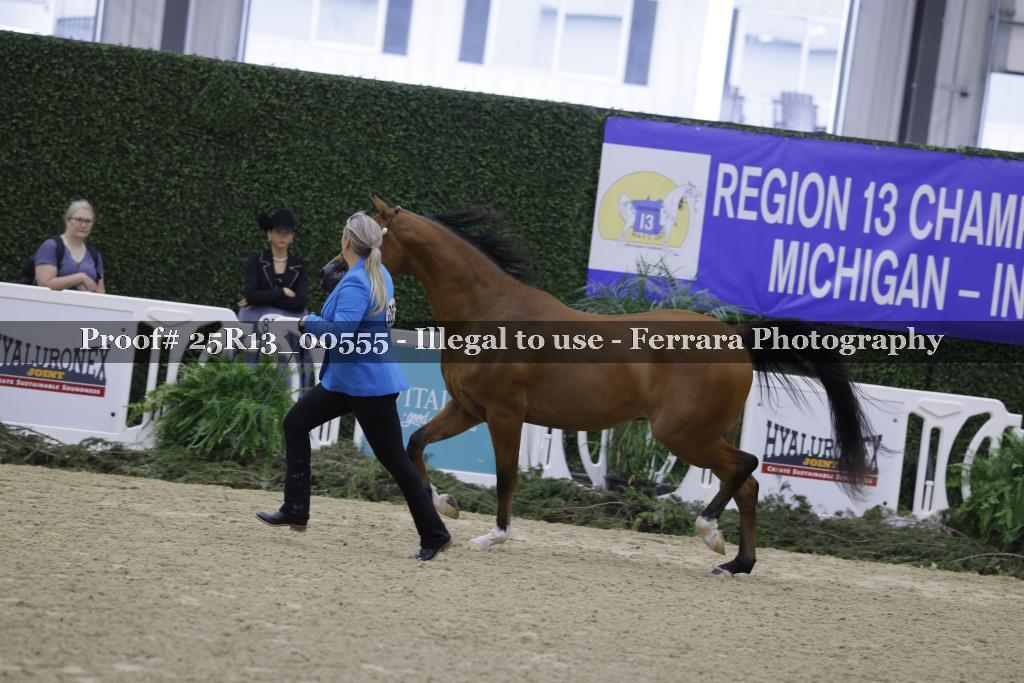 Proof 25R13_00555